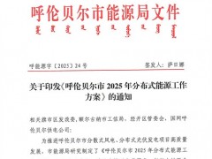 內(nèi)蒙古呼倫貝爾市新巴爾虎左旗啟動(dòng)2025年分散式風(fēng)電、分布式光伏項(xiàng)目競(jìng)爭(zhēng)配置申報(bào)