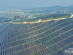 茶光共舞映滇南 匠心服務筑標桿 | 英利能源與中國電建共譜鄉村振興新篇