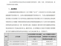 云南能投獲6.18億元國家可再生能源電價附加資金補助